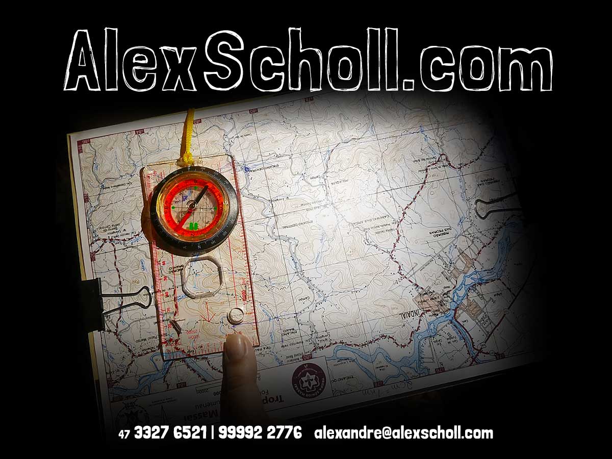alexandre@alexscholl.com